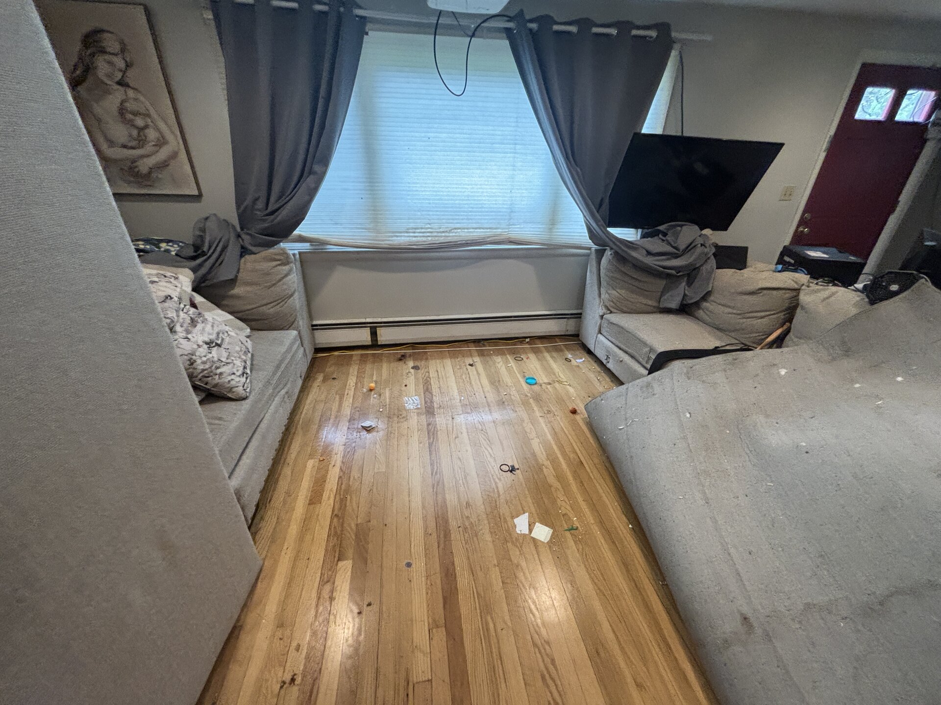 living room mid-clean — cushions stripped, debris on floor