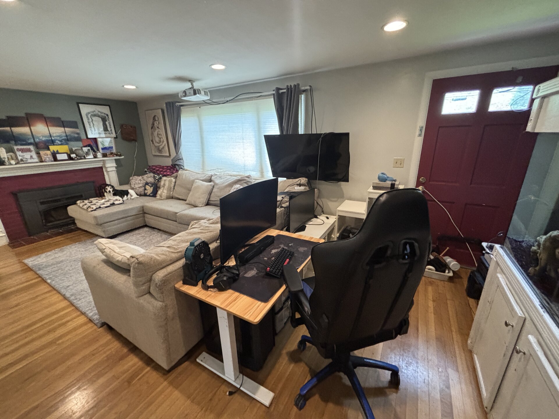 clean living room with beagle on sectional